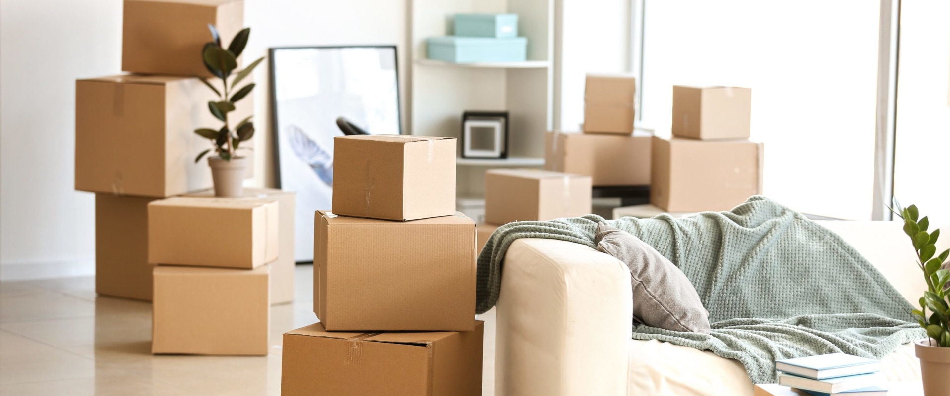 Expert Tips for Relocation Help